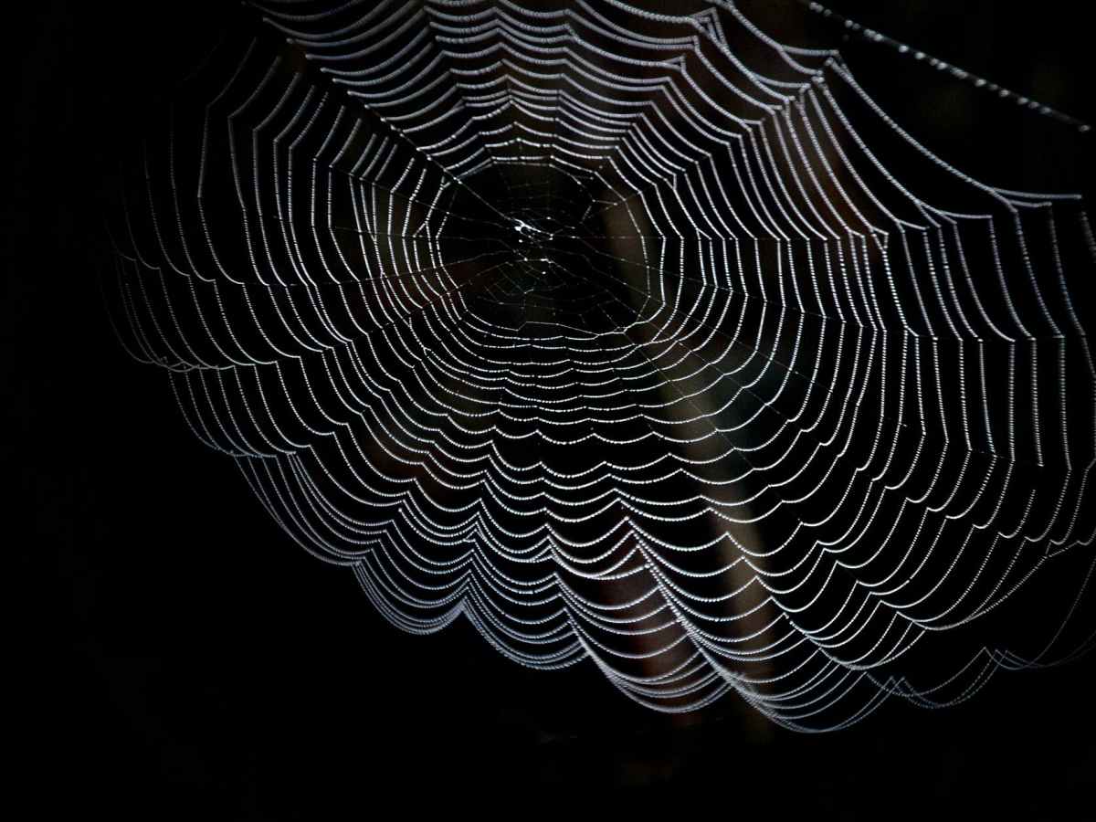 Why Darknet is Good for the Enterprise and Your Private&nbsp;Apps